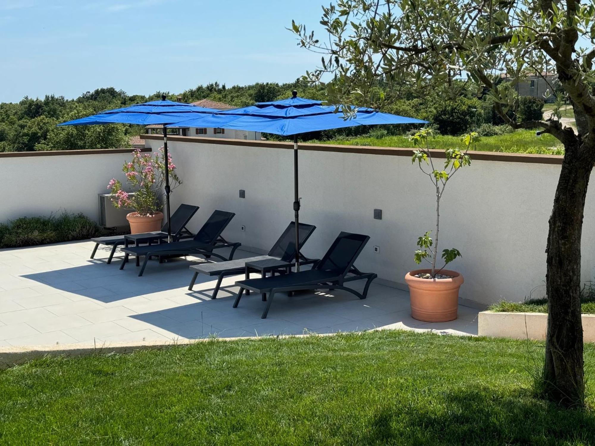 Villa Victoria Istra - Heated Pool Nova Vas  Extérieur photo